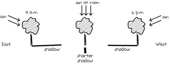 A hand drawn diagram depicting how sunlight and the tree's shadow change throughout a day